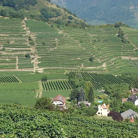 Gastehaus Weinbergblick 4* Spitz an der Donau