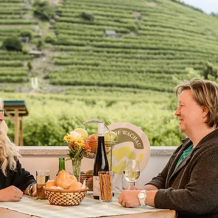 Gastehaus Weinbergblick Pensión 4*