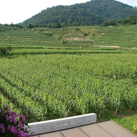 Pensión Gastehaus Weinbergblick 4*