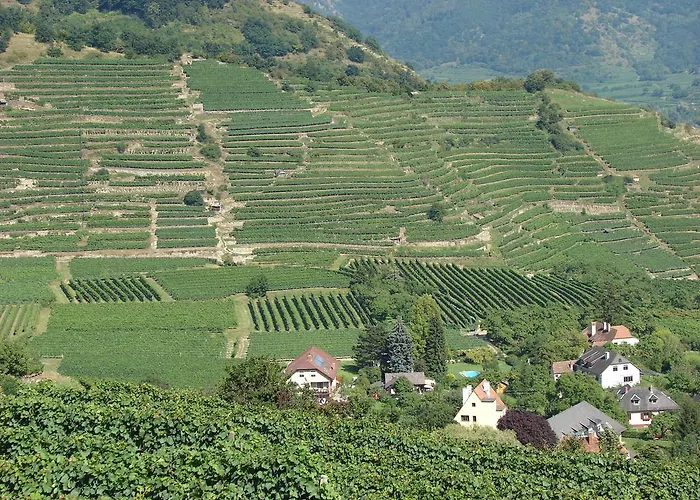 Gastehaus Weinbergblick 4* Spitz an der Donau