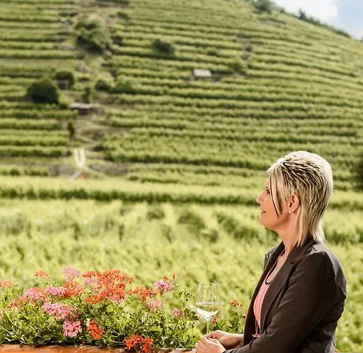 Gastehaus Weinbergblick 4*