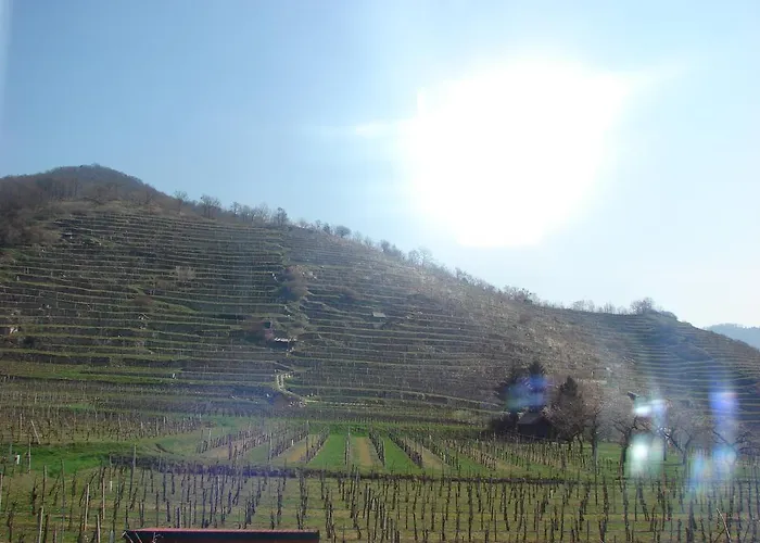 Pensión Gastehaus Weinbergblick