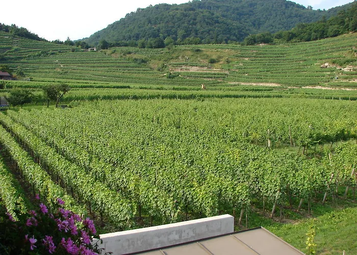 Pensión Gastehaus Weinbergblick 4*